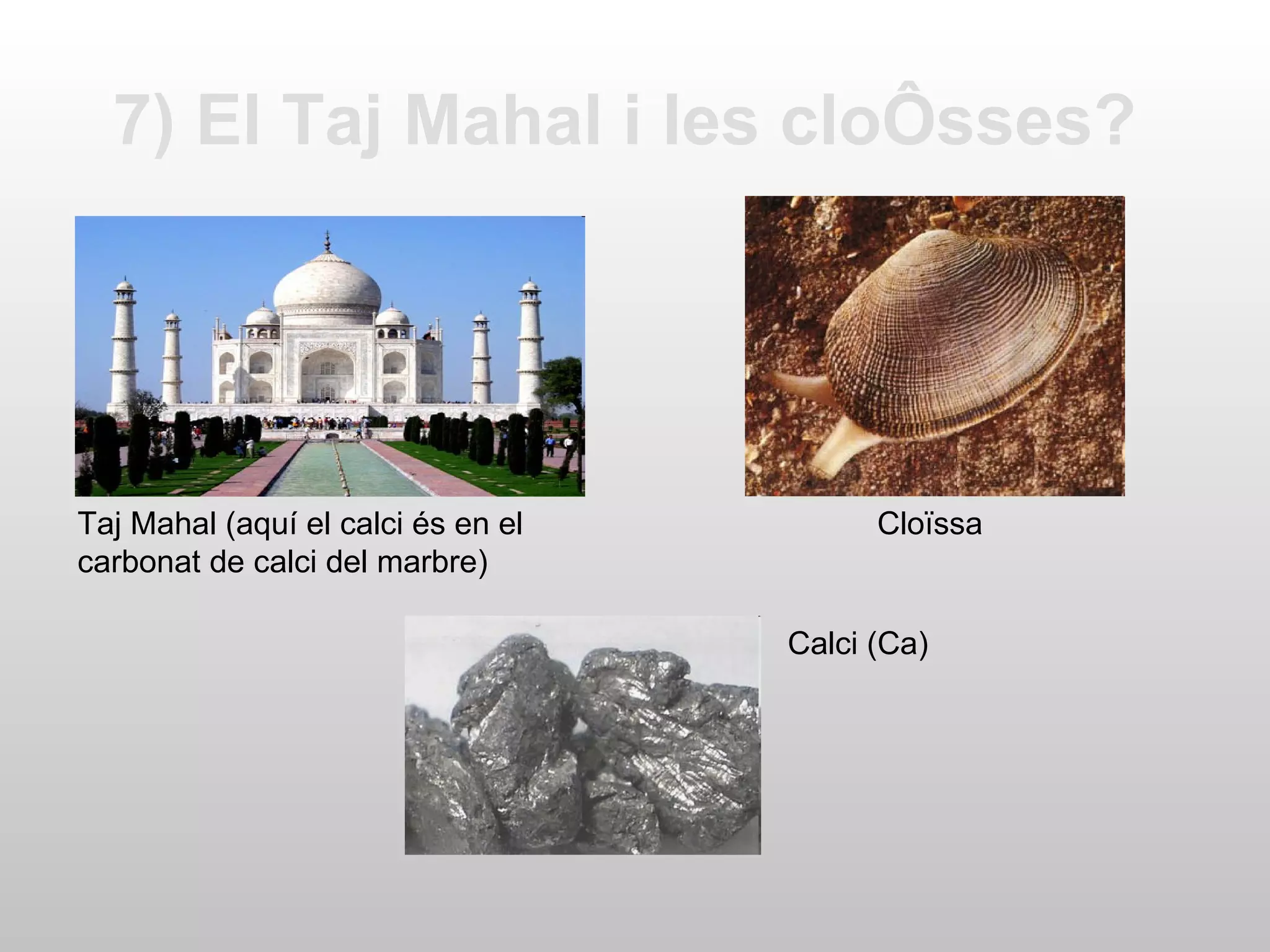 7) El Taj Mahal i les cloïsses?   Taj Mahal (aquí el calci és en el carbonat de calci del marbre) Cloïssa Calci (Ca) 