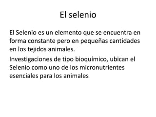 El selenio
El Selenio es un elemento que se encuentra en
forma constante pero en pequeñas cantidades
en los tejidos animales.
Investigaciones de tipo bioquímico, ubican el
Selenio como uno de los micronutrientes
esenciales para los animales
 