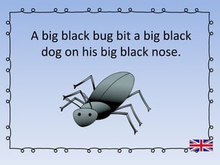 A big black bug bit a big black
dog on his big black nose.
 