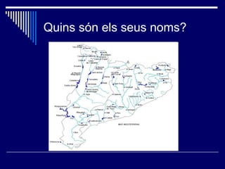 Quins són els seus noms? 