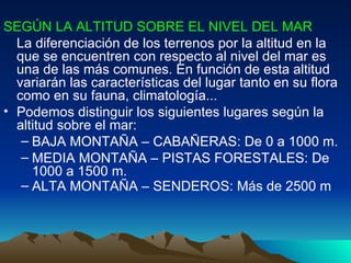 SEGÚN LA ALTITUD SOBRE EL NIVEL DEL MAR  La diferenciación de los terrenos por la altitud en la que se encuentren con respecto al nivel del mar es una de las más comunes. En función de esta altitud variarán las características del lugar tanto en su flora como en su fauna, climatología...  Podemos distinguir los siguientes lugares según la altitud sobre el mar:  BAJA MONTAÑA – CABAÑERAS: De 0 a 1000 m.  MEDIA MONTAÑA – PISTAS FORESTALES: De 1000 a 1500 m.  ALTA MONTAÑA – SENDEROS: Más de 2500 m   