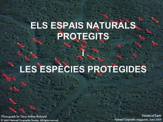 ELS ESPAIS NATURALS PROTEGITS i LES ESPÈCIES PROTEGIDES 