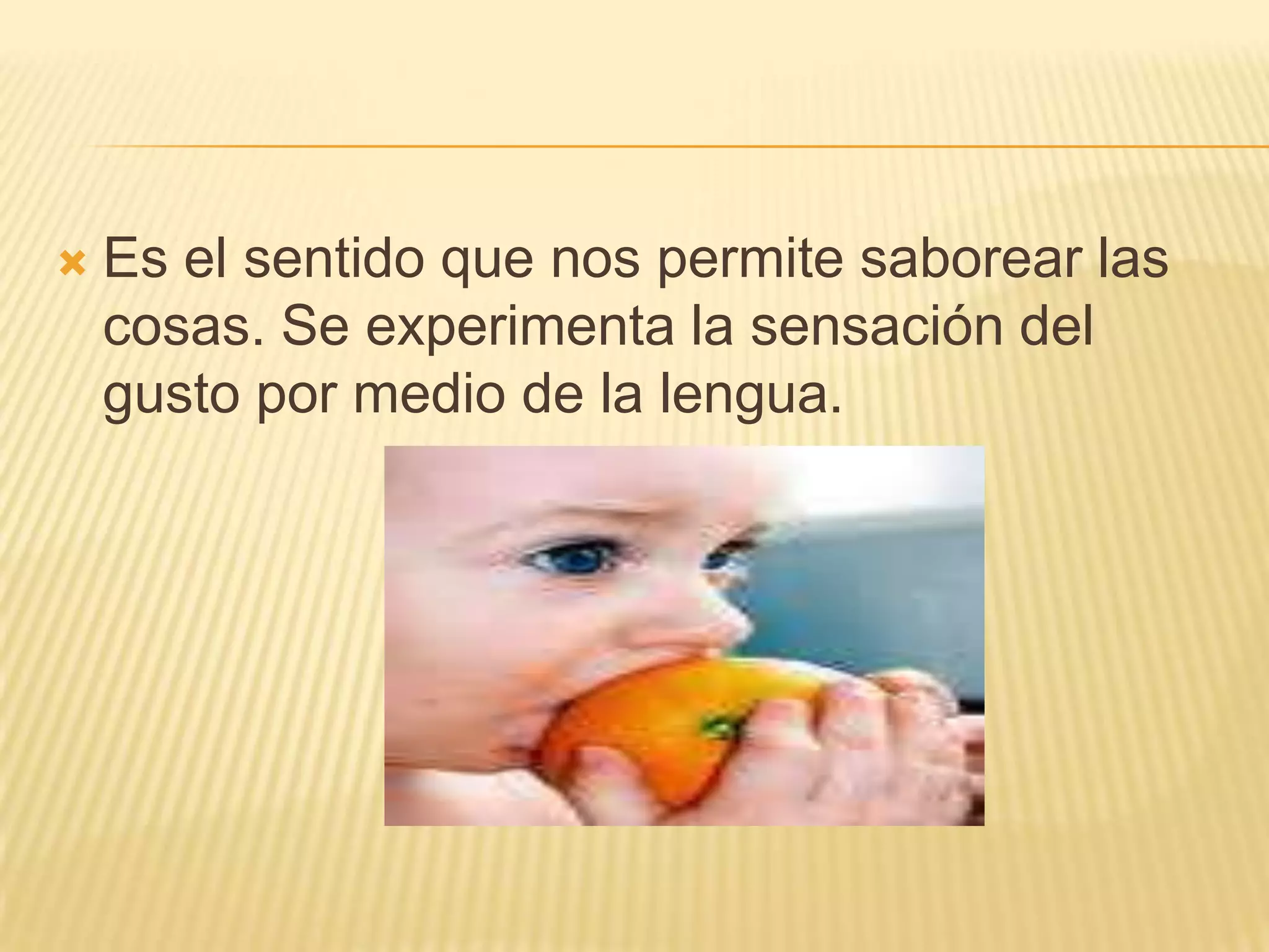 Que Sentido El sentido del gusto.presentación | PPTX