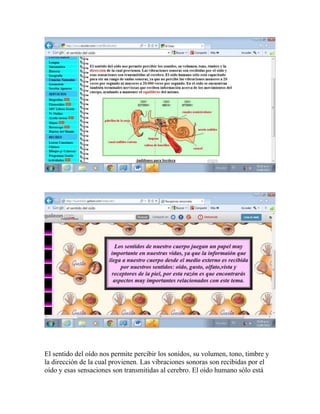 El sentido del oído nos permite percibir los sonidos, su volumen, tono, timbre y
la dirección de la cual provienen. Las vibraciones sonoras son recibidas por el
oído y esas sensaciones son transmitidas al cerebro. El oído humano sólo está
 