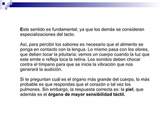 E ste sentido es fundamental, ya que los demás se consideran especializaciones del tacto.  Así, para percibir los sabores es necesario que el alimento se ponga en contacto con la lengua. Lo mismo pasa con los olores, que deben tocar la pituitaria; vemos un cuerpo cuando la luz que este emite o refleja toca la retina. Los sonidos deben chocar contra el tímpano para que se inicie la vibración que nos generará la audición. Si te preguntan cuál es el órgano más grande del cuerpo, lo más probable es que respondas que el corazón o tal vez los pulmones. Sin embargo, la respuesta correcta es: la  piel , que además es el  órgano de mayor sensibilidad táctil. 