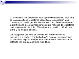 A través de la piel percibimos todo tipo de sensaciones, cada una de las cuales tiene receptores específicos: la sensación táctil –contacto–, la presión, el frío, el calor y el dolor. Se estima que en la piel humana existen alrededor de cuatro millones de receptores para la sensación de dolor, 500 mil para la presión, 150 mil para el frío y 16 mil para el calor. Los receptores del tacto en la en la piel retransmiten sus mensajes a la corteza cerebral a través De dos vías específicas en la medula espinal: una para las sensaciones bien localizadas del tacto y la otra para el tacto más difuso 
