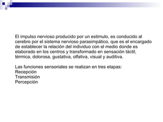 El impulso nervioso producido por un estimulo, es conducido al cerebro por el sistema nervioso parasimpático, que es el encargado de establecer la relación del individuo con el medio donde es elaborado en los centros y transformado en sensación táctil, térmica, dolorosa, gustativa, olfativa, visual y auditiva. Las funciones sensoriales se realizan en tres etapas:  Recepción  Transmisión  Percepción    