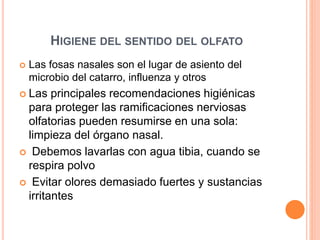 HIGIENE DEL SENTIDO DEL OLFATO
 Las fosas nasales son el lugar de asiento del
microbio del catarro, influenza y otros
 Las principales recomendaciones higiénicas
para proteger las ramificaciones nerviosas
olfatorias pueden resumirse en una sola:
limpieza del órgano nasal.
 Debemos lavarlas con agua tibia, cuando se
respira polvo
 Evitar olores demasiado fuertes y sustancias
irritantes
 