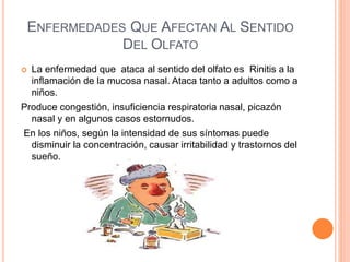 ENFERMEDADES QUE AFECTAN AL SENTIDO
DEL OLFATO
 La enfermedad que ataca al sentido del olfato es Rinitis a la
inflamación de la mucosa nasal. Ataca tanto a adultos como a
niños.
Produce congestión, insuficiencia respiratoria nasal, picazón
nasal y en algunos casos estornudos.
En los niños, según la intensidad de sus síntomas puede
disminuir la concentración, causar irritabilidad y trastornos del
sueño.
 