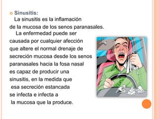  Sinusitis:
La sinusitis es la inflamación
de la mucosa de los senos paranasales.
La enfermedad puede ser
causada por cualquier afección
que altere el normal drenaje de
secreción mucosa desde los senos
paranasales hacia la fosa nasal
es capaz de producir una
sinusitis, en la medida que
esa secreción estancada
se infecta e infecta a
la mucosa que la produce.
 