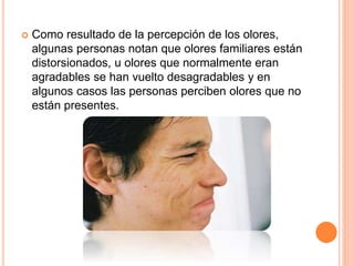  Como resultado de la percepción de los olores,
algunas personas notan que olores familiares están
distorsionados, u olores que normalmente eran
agradables se han vuelto desagradables y en
algunos casos las personas perciben olores que no
están presentes.
 