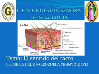 Tema: El sentido del tacto
Lic. DE LA CRUZ VALENZUELA YENNY ZUJEYLI
 