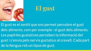 El sentit de la vista | PPTX
