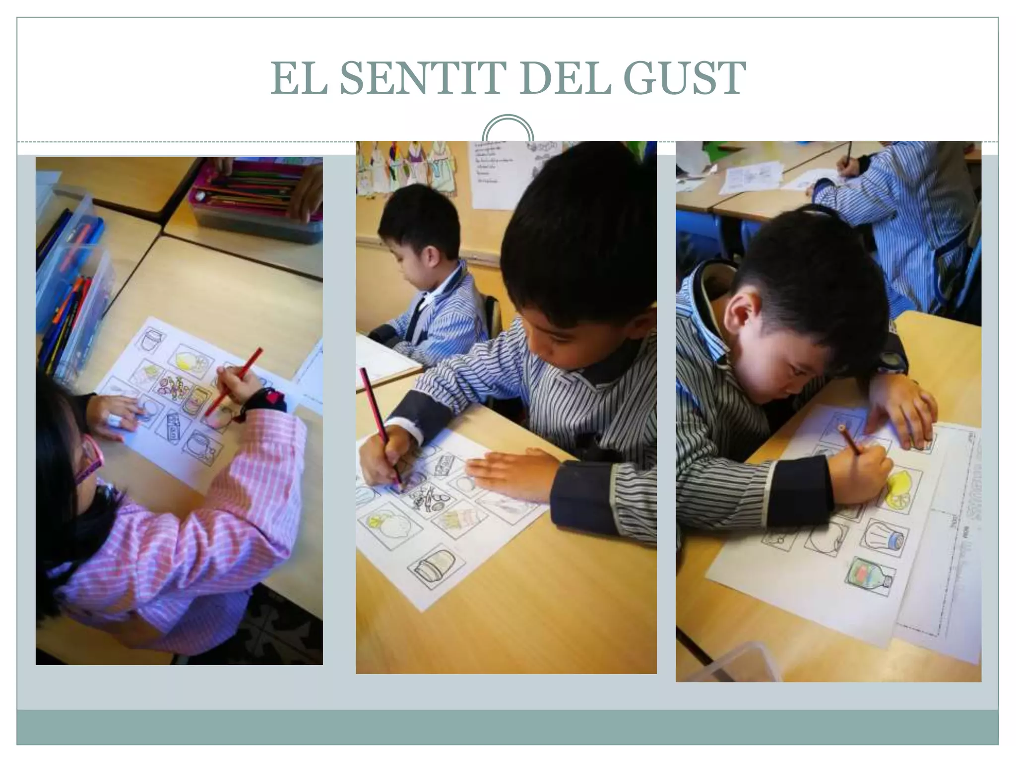 El sentit del gust | PPT