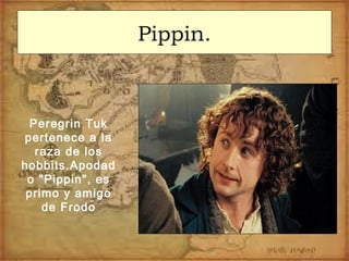 Pippin.
Peregrin Tuk
pertenece a la
raza de los
hobbits.Apodad
o "Pippin", es
primo y amigo
de Frodo
 
