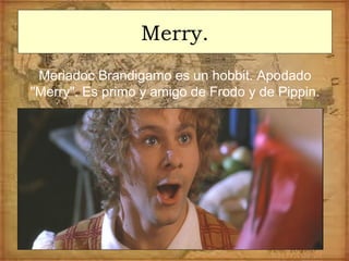 Merry.
Meriadoc Brandigamo es un hobbit. Apodado
"Merry". Es primo y amigo de Frodo y de Pippin.
 