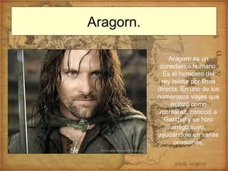 Aragorn.
Aragorn es un
dúnedain o humano.
Es el heredero del
rey Isildur por línea
directa. En uno de los
numerosos viajes que
realizó como
montaraz, conoció a
Gandalf y se hizo
amigo suyo,
ayudándole en varias
ocasiones.
 