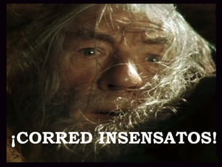 ¡CORRED INSENSATOS!
 