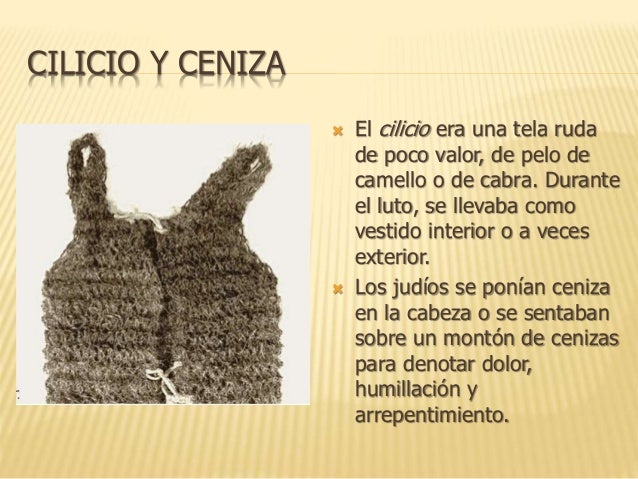 el silicio en la biblia el silicio en la biblia