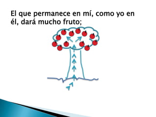 El que permanece en mí, como yo en él, dará mucho fruto; 