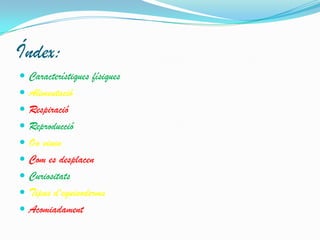 Índex:
 Característiques físiques
 Alimentació
 Respiració
 Reproducció

 On viuen
 Com es desplacen
 Curiositats

 Tipus d'equinoderms
 Acomiadament

 