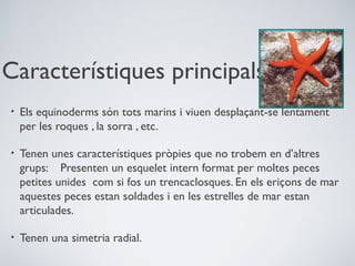 Característiques principals
•

Els equinoderms són tots marins i viuen desplaçant-se lentament
per les roques , la sorra , etc.

•

Tenen unes característiques pròpies que no trobem en d’altres
grups: Presenten un esquelet intern format per moltes peces
petites unides com si fos un trencaclosques. En els eriçons de mar
aquestes peces estan soldades i en les estrelles de mar estan
articulades.

•

Tenen una simetria radial.

 
