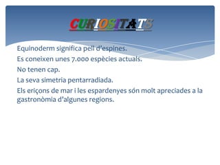 curiositats
Equinoderm significa pell d’espines.
Es coneixen unes 7.000 espècies actuals.
No tenen cap.
La seva simetria pentarradiada.
Els eriçons de mar i les espardenyes són molt apreciades a la
gastronòmia d’algunes regions.

 