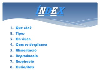 ÍNDEX
1.
2.
3.
4.
5.
6.
7.
8.

Que són?
Tipus
On viuen
Com es desplacen
Alimentació
Reproducció
Respiració
Curiositats

 
