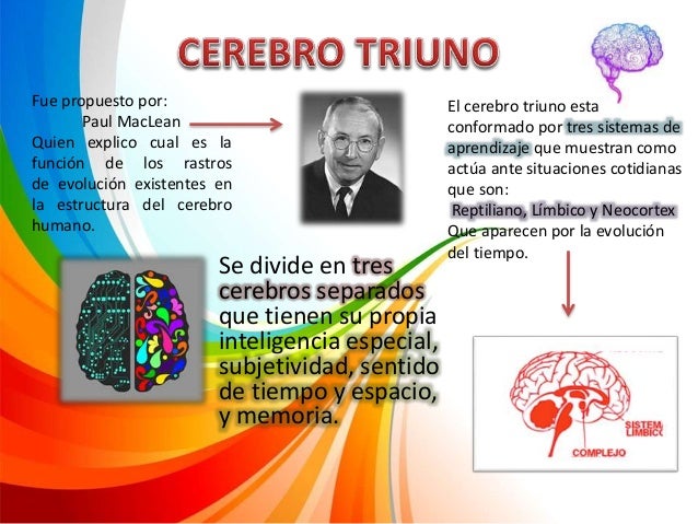 Resultado de imagen de paul maclean cerebro triuno
