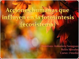 Acciones humanas que influyen en la fotosintesis(ecosistema) Nombres: Antonieta SanaguasBelén MoralesCurso: 1ºmedio 