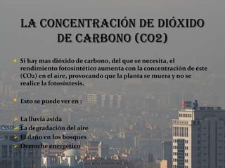 La concentración de dióxido de carbono (CO2)Si hay mas dióxido de carbono, del que se necesita, el rendimiento fotosintético aumenta con la concentración de éste (CO2) en el aire, provocando que la planta se muera y no se realice la fotosíntesis.Esto se puede ver en :
