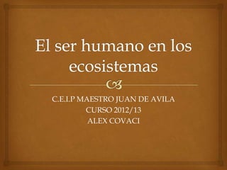 C.E.I.P MAESTRO JUAN DE AVILA
         CURSO 2012/13
          ALEX COVACI
 