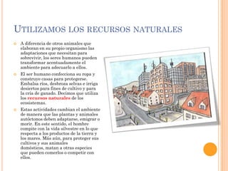 El ser humano en los ecosistemas | PPTX