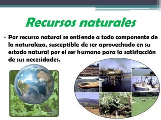 El ser Humano en Los Ecosistemas Eduardo G. | PPTX