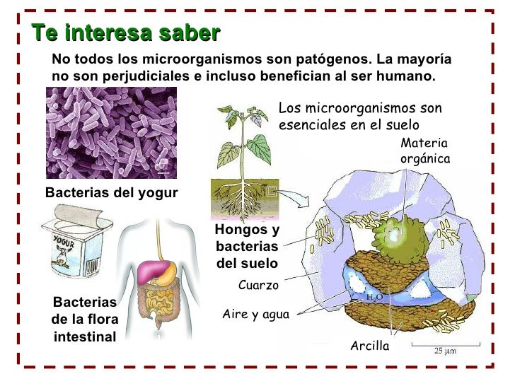He alisado las arrugas en la cara