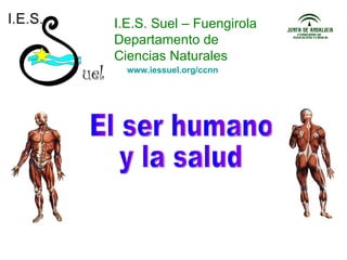 I.E.S. Suel – Fuengirola Departamento de Ciencias Naturales El ser humano y la salud www.iessuel.org/ccnn 