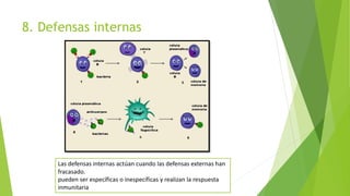 8. Defensas internas
Las defensas internas actúan cuando las defensas externas han
fracasado.
pueden ser específicas o inespecíficas y realizan la respuesta
inmunitaria
 