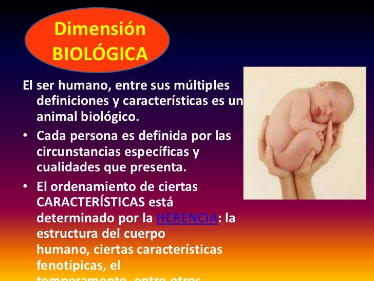 El ser humano y sus interacciones con el
