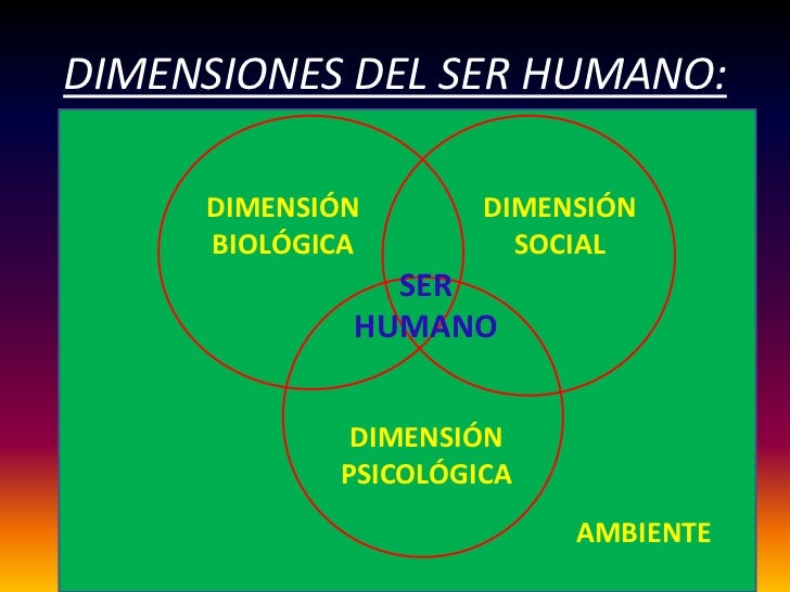 El ser humano y sus interacciones con el