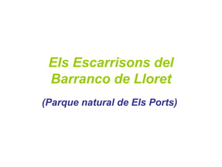 Els Escarrisons del
Barranco de Lloret
(Parque natural de Els Ports)
 