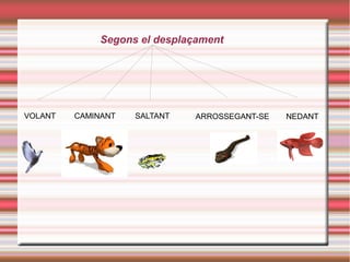 Segons el desplaçament
VOLANT CAMINANT SALTANT ARROSSEGANT-SE NEDANT
 