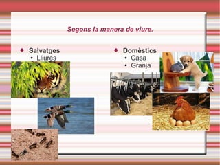 Segons la manera de viure.
 Salvatges
● Lliures
 Domèstics
● Casa
● Granja
 