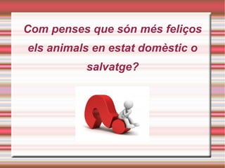 Com penses que són més feliços
els animals en estat domèstic o
salvatge?
 