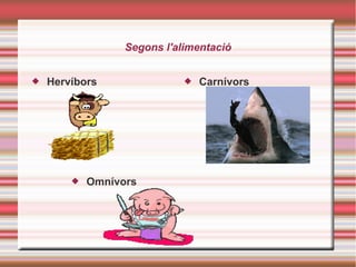 Segons l'alimentació
 Hervíbors  Carnívors
 Omnívors
 