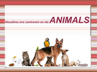 Nosaltres ens centrarem en els ANIMALS
 