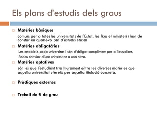 Els Estudis Universitaris