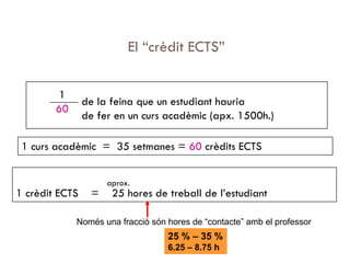 Els Estudis Universitaris