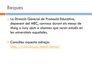 Els Estudis Universitaris