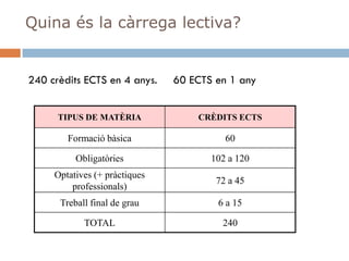 Els Estudis Universitaris