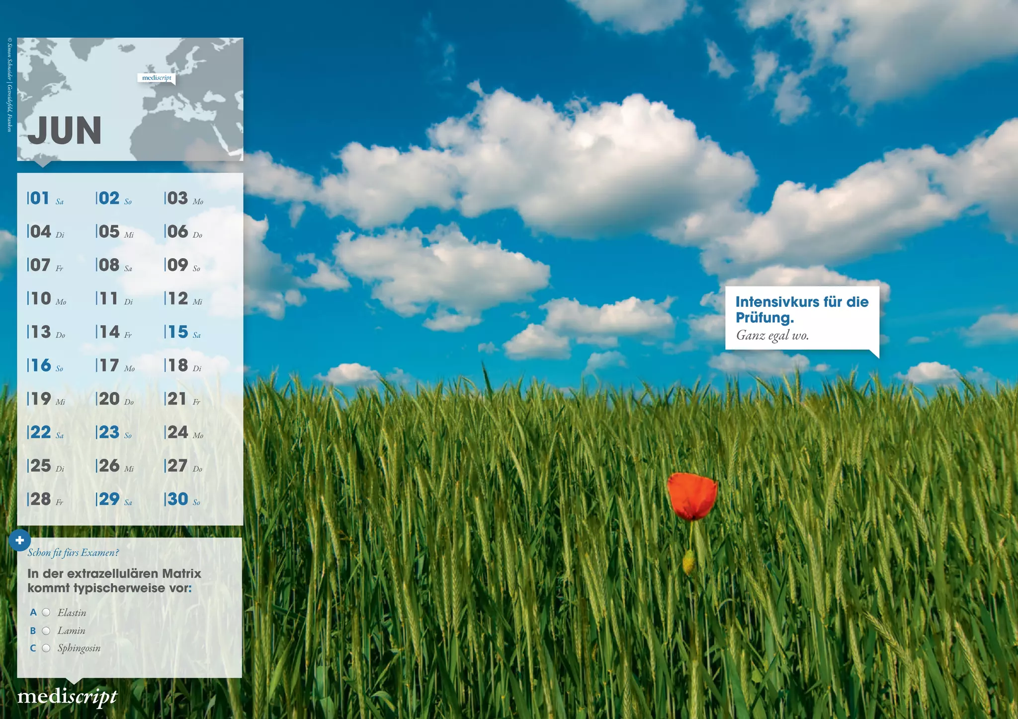 Intensivkurs für die
Prüfung.
Ganz egal wo.
Jun
mediscript
In der extrazellulären Matrix
kommt typischerweise vor:
A Elastin
B Lamin
C Sphingosin
©SimonSchneider|Getreidefeld,Franken
01 Sa 02 So 03 Mo
04 Di 05 Mi 06 Do
07 Fr 08 Sa 09 So
10 Mo 11 Di 12 Mi
13 Do 14 Fr 15 Sa
16 So 17 Mo 18 Di
19 Mi 20 Do 21 Fr
22 Sa 23 So 24 Mo
25 Di 26 Mi 27 Do
28 Fr 29 Sa 30 So
Schon fit fürs Examen?
 